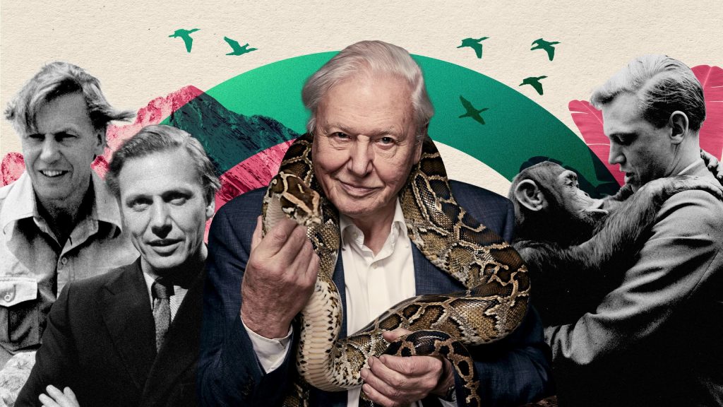 David Attenborough 100 Tahun: Sosok Pengambil Risiko yang Mengubah Cara Dunia Melihat Bumi