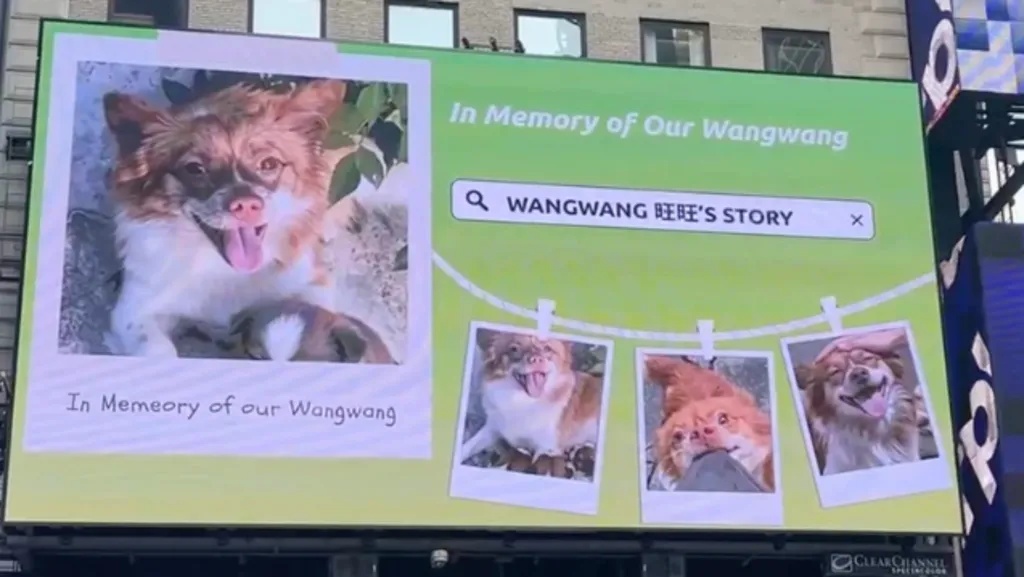 Disensor di Dalam Negeri, Pecinta Hewan China Galang Dukungan Global Usai Kasus Pembunuhan Anjing Wang Wang